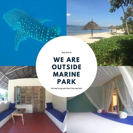 Afro Whale Shark Safari Bed & Breakfast Kilindoni Eksteriør bilde