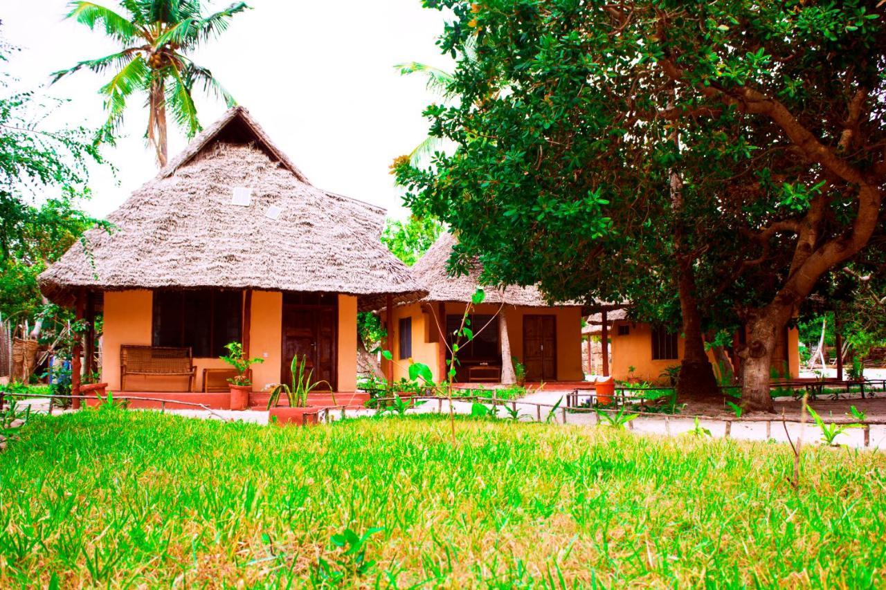 Afro Whale Shark Safari Bed & Breakfast Kilindoni Eksteriør bilde