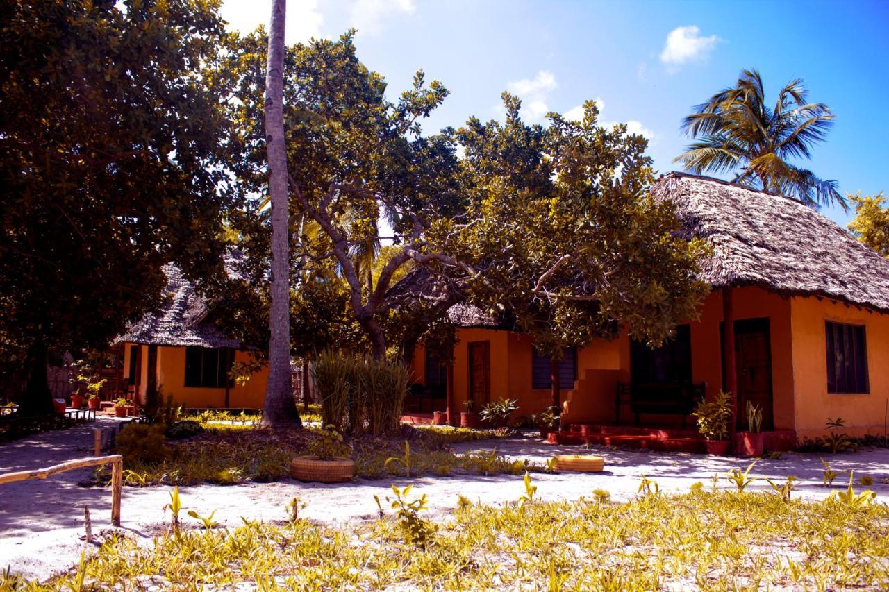 Afro Whale Shark Safari Bed & Breakfast Kilindoni Eksteriør bilde
