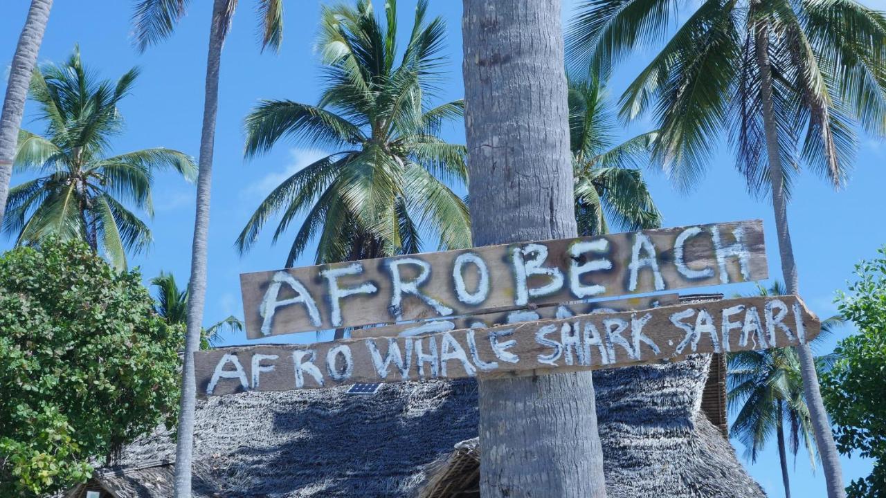 Afro Whale Shark Safari Bed & Breakfast Kilindoni Eksteriør bilde