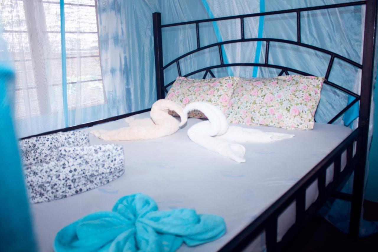 Afro Whale Shark Safari Bed & Breakfast Kilindoni Eksteriør bilde